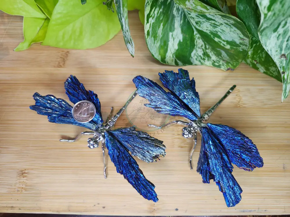 AURA KYANITE DRAGONFLY - CARVING