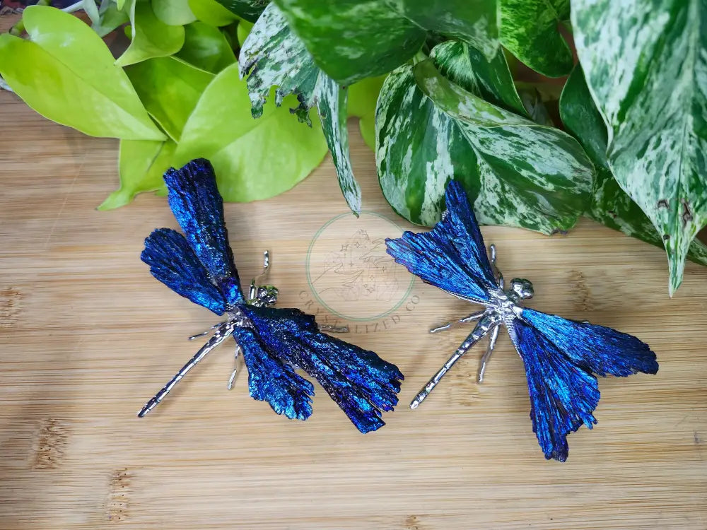 AURA KYANITE DRAGONFLY - CARVING