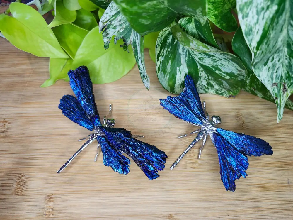 AURA KYANITE DRAGONFLY - CARVING