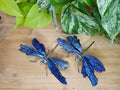 AURA KYANITE DRAGONFLY - CARVING