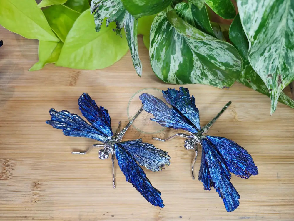 AURA KYANITE DRAGONFLY - CARVING