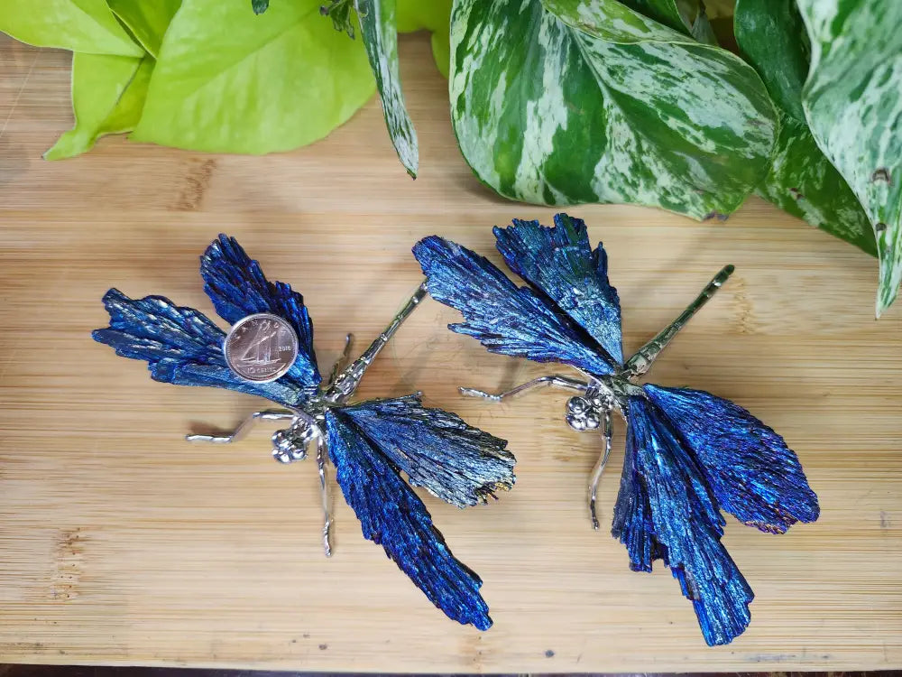 AURA KYANITE DRAGONFLY - CARVING