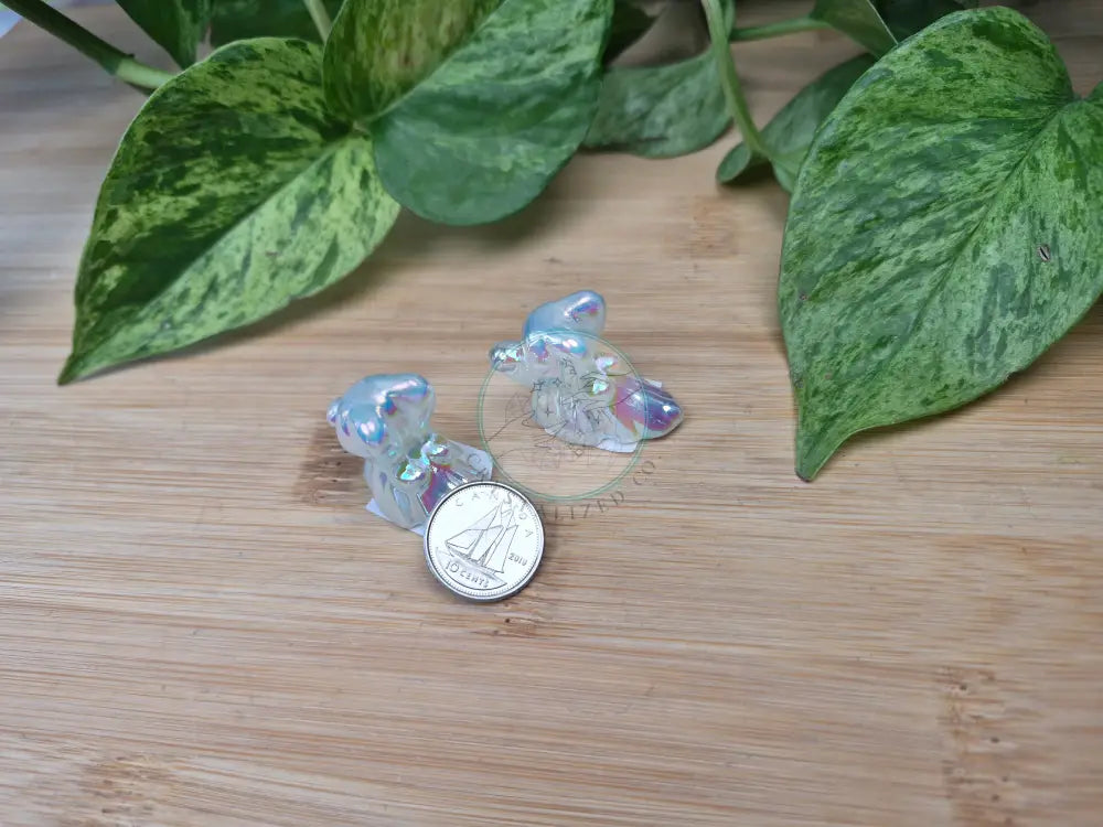 AURA OPALITE ZERO DOG