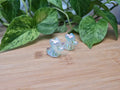AURA OPALITE ZERO DOG