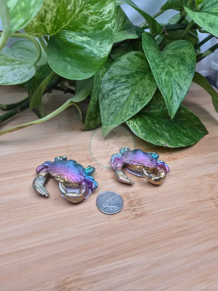 BISMUTH CRAB