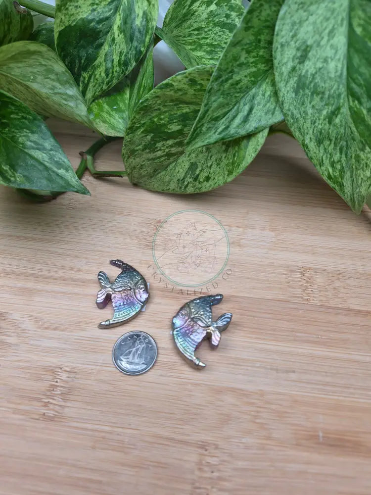 BISMUTH FISH