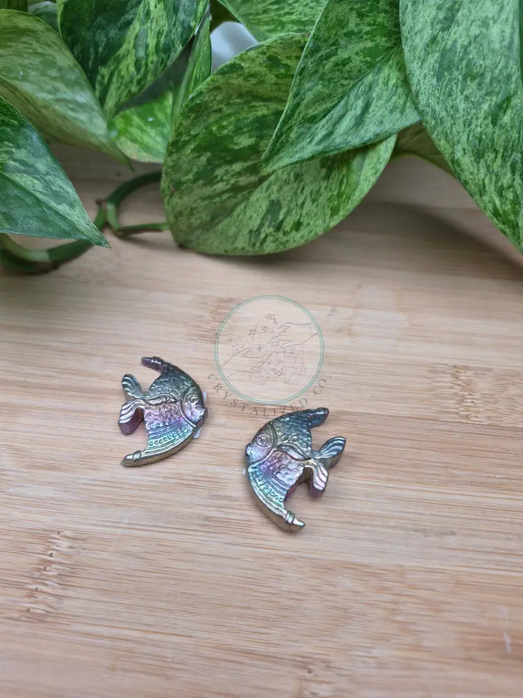 BISMUTH FISH