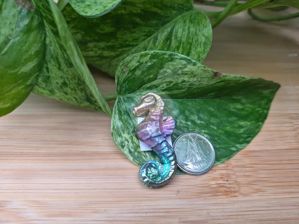 BISMUTH SEAHORSE