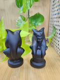 BLACK OBSIDIAN AHSOKA TANO BUST