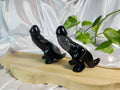 BLACK OBSIDIAN LARGE DICK-A-SAURUS - CARVING
