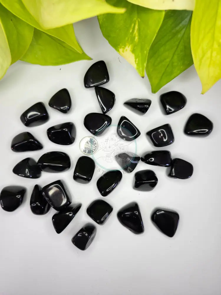 BLACK OBSIDIAN TUMBLED STONES - TUMBLED STONES