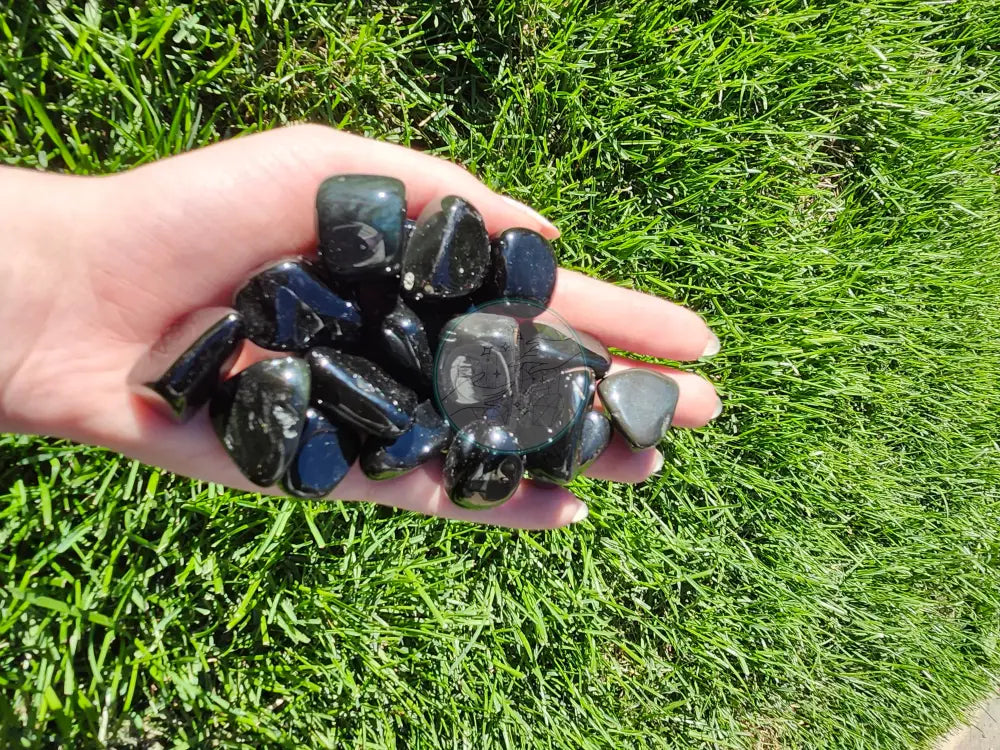 BLACK OBSIDIAN TUMBLED STONES - TUMBLED STONES