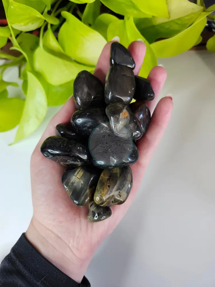 BLACK ONYX TUMBLED STONE - TUMBLED STONES
