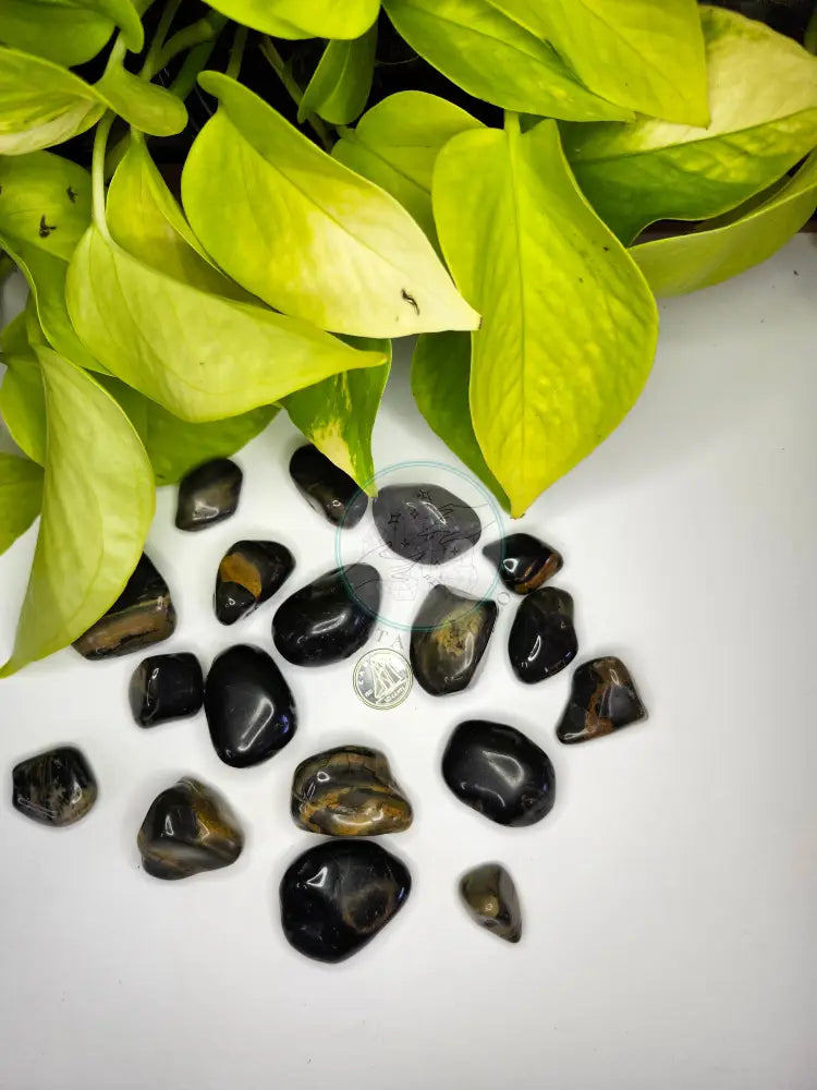 BLACK ONYX TUMBLED STONE - TUMBLED STONES