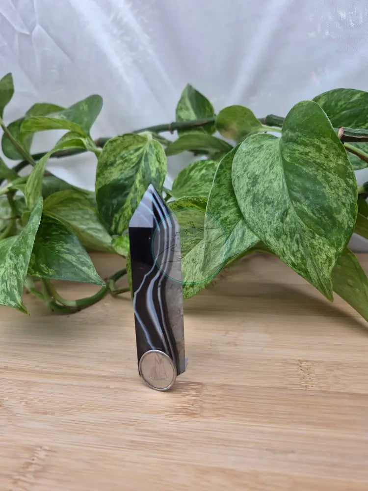 BLACK SARDONYX TOWER
