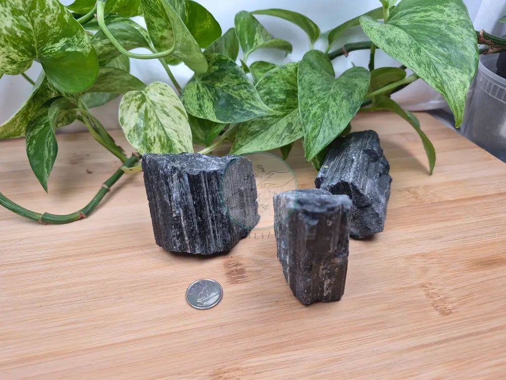 BLACK TOURMALINE MEDIUM ROUGH CHUNK