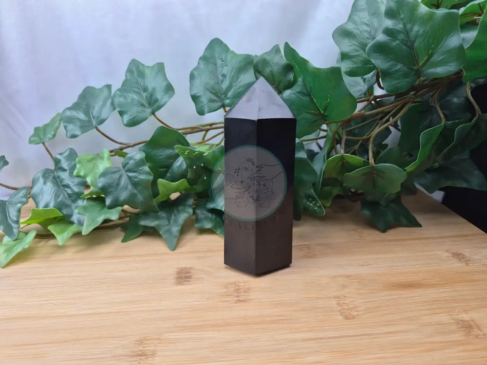 BLACK TOURMALINE TOWER #3