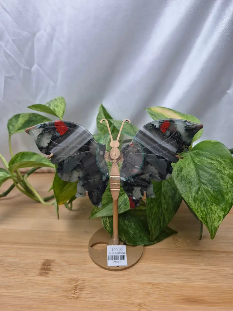 BLOODSTONE BUTTERFLY WINGS