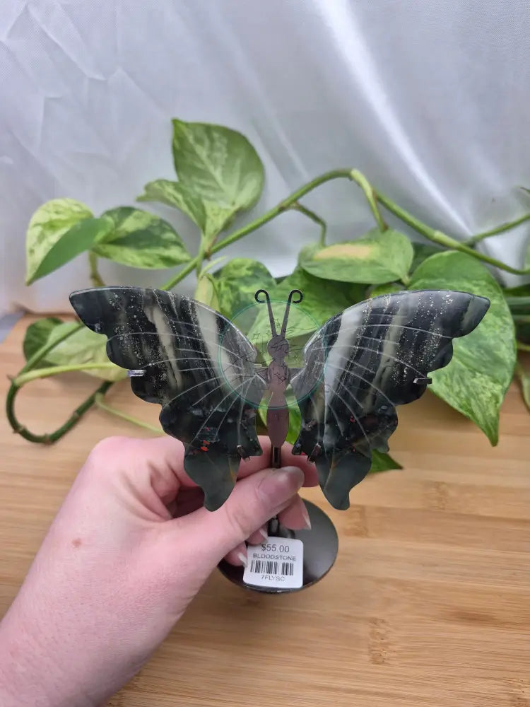 BLOODSTONE BUTTERFLY WINGS