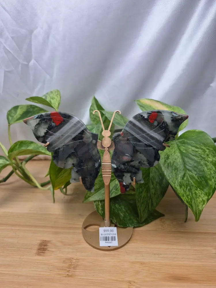 BLOODSTONE BUTTERFLY WINGS