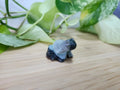 BLOODSTONE FROG