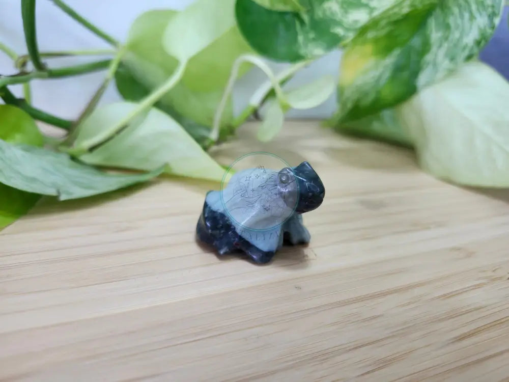 BLOODSTONE FROG