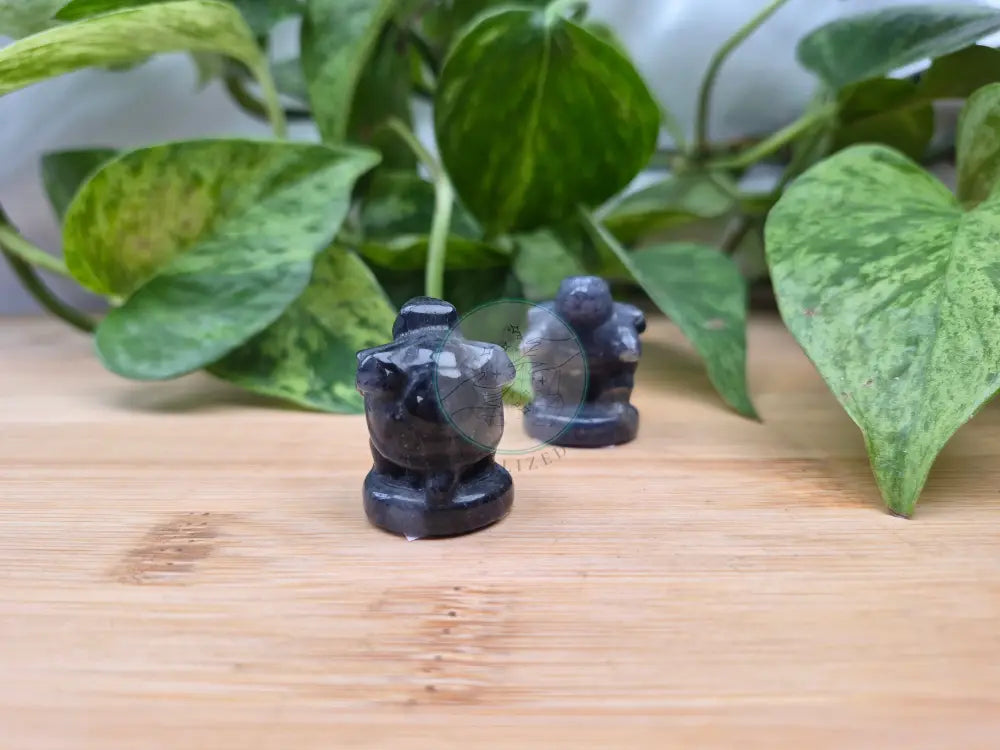 BLUE AVENTURINE BLASTOISE