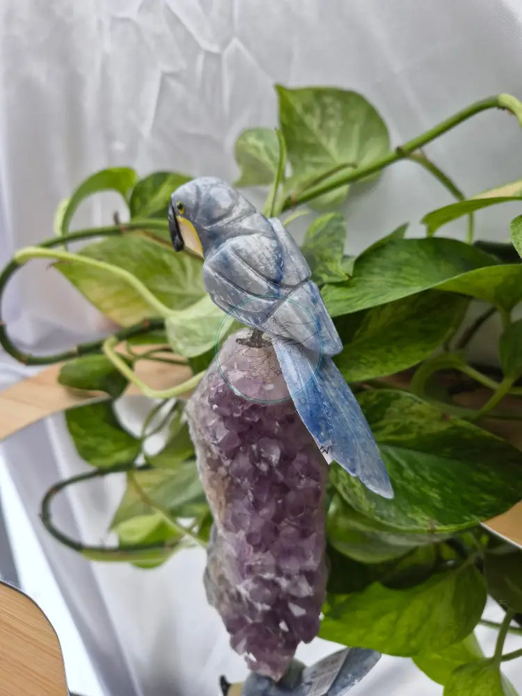 BLUE AVENTURINE PARROT ON AMETHYST BASE