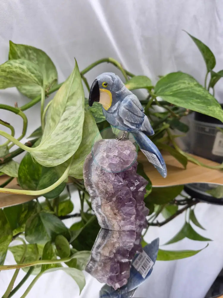 BLUE AVENTURINE PARROT ON AMETHYST BASE