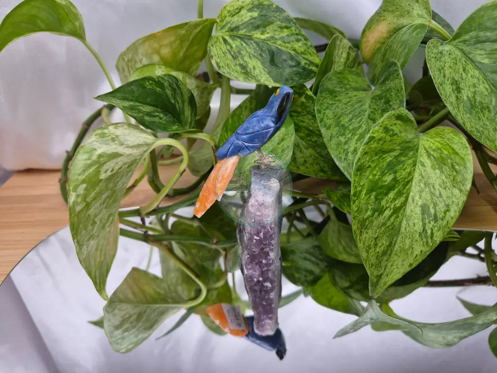 BLUE AVENTURINE PARROT ON AMETHYST BASE