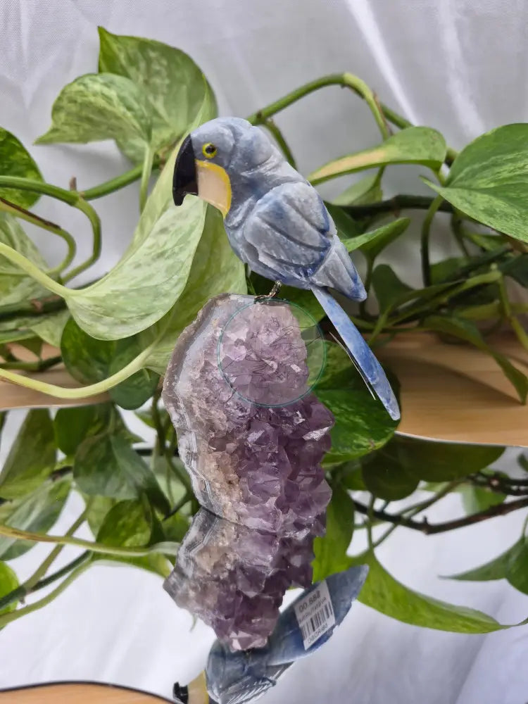 BLUE AVENTURINE PARROT ON AMETHYST BASE