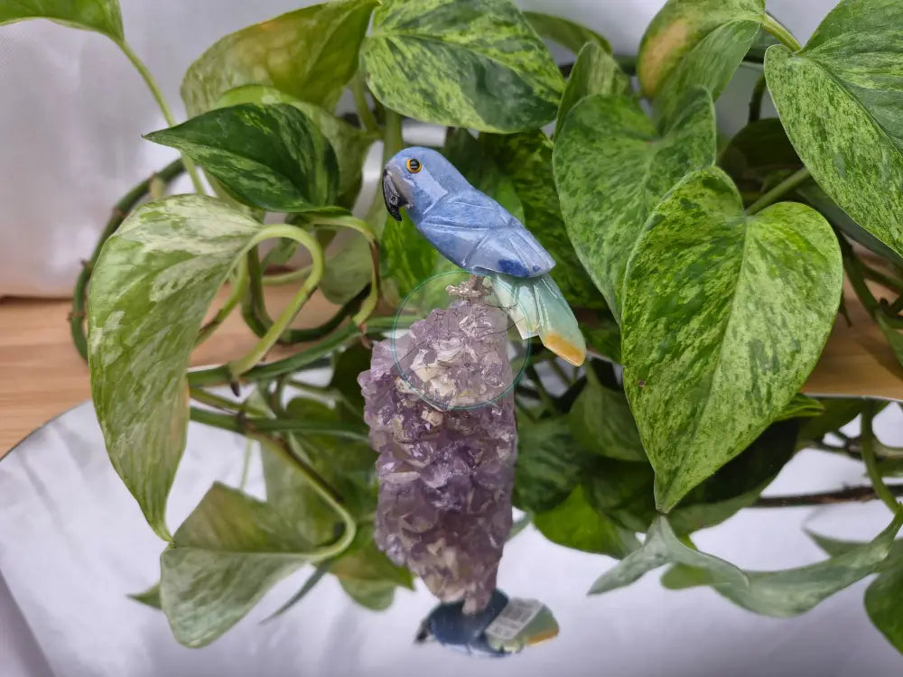 BLUE AVENTURINE PARROT ON AMETHYST BASE
