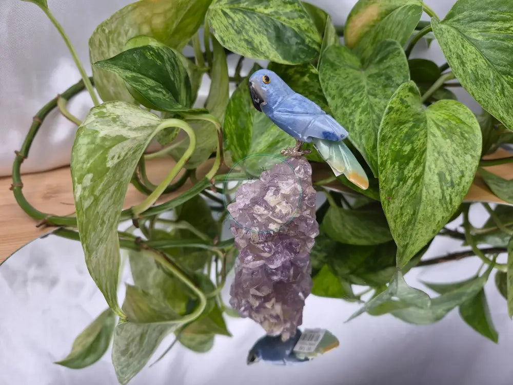BLUE AVENTURINE PARROT ON AMETHYST BASE