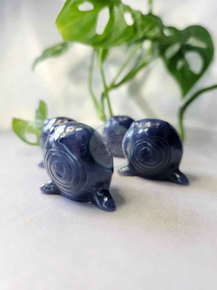 BLUE AVENTURINE POLIWAG