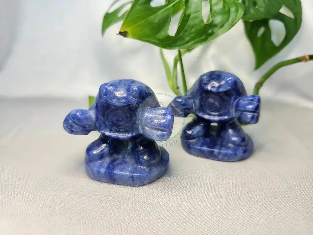 BLUE AVENTURINE POLIWHIRL LG