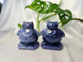 BLUE AVENTURINE SNORLAX (MED)