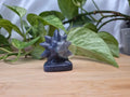 BLUE AVENTURINE STARMIE