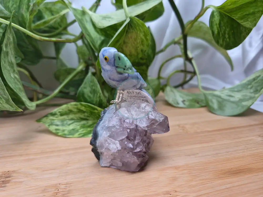 BLUE AVENTURINE TOUCAN ON AMETHYST BASE