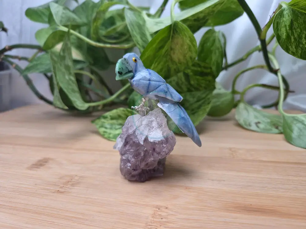BLUE AVENTURINE TOUCAN ON AMETHYST BASE