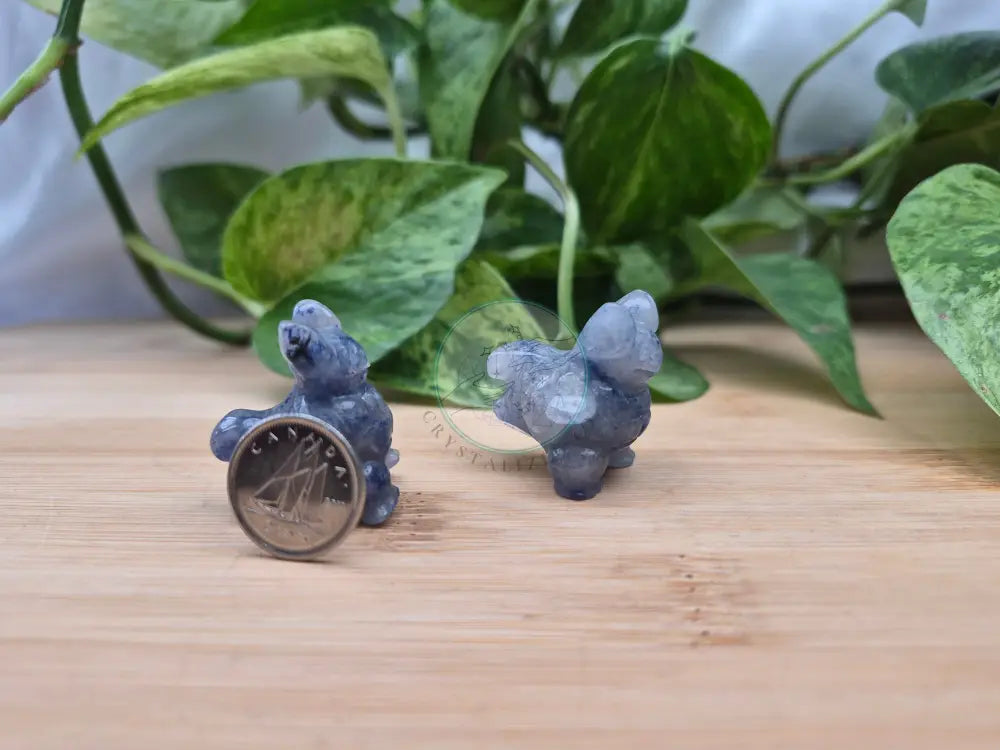 BLUE AVENTURINE WARTORTLE