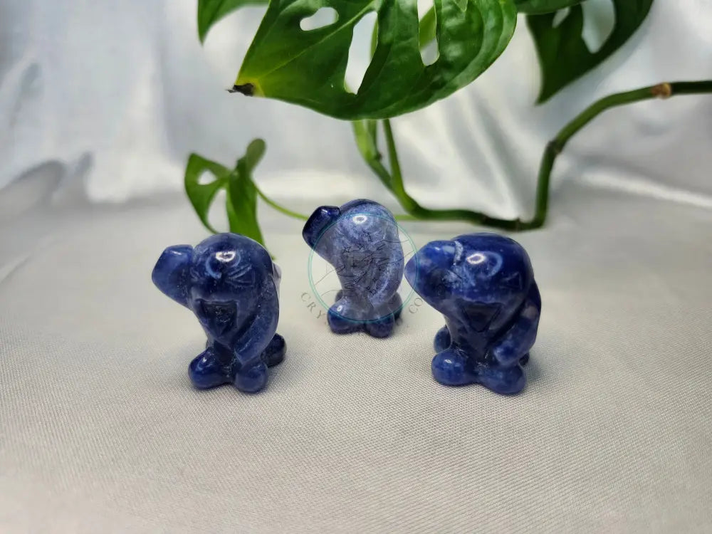 BLUE AVENTURINE WOBBUFFET