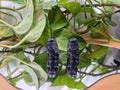BLUE GOLDSTONE VADER