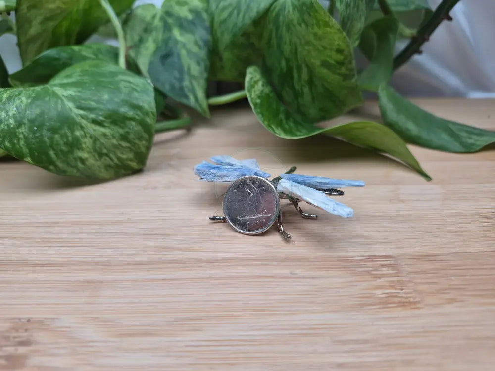BLUE KYANITE DRAGONFLY