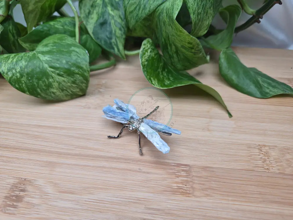 BLUE KYANITE DRAGONFLY