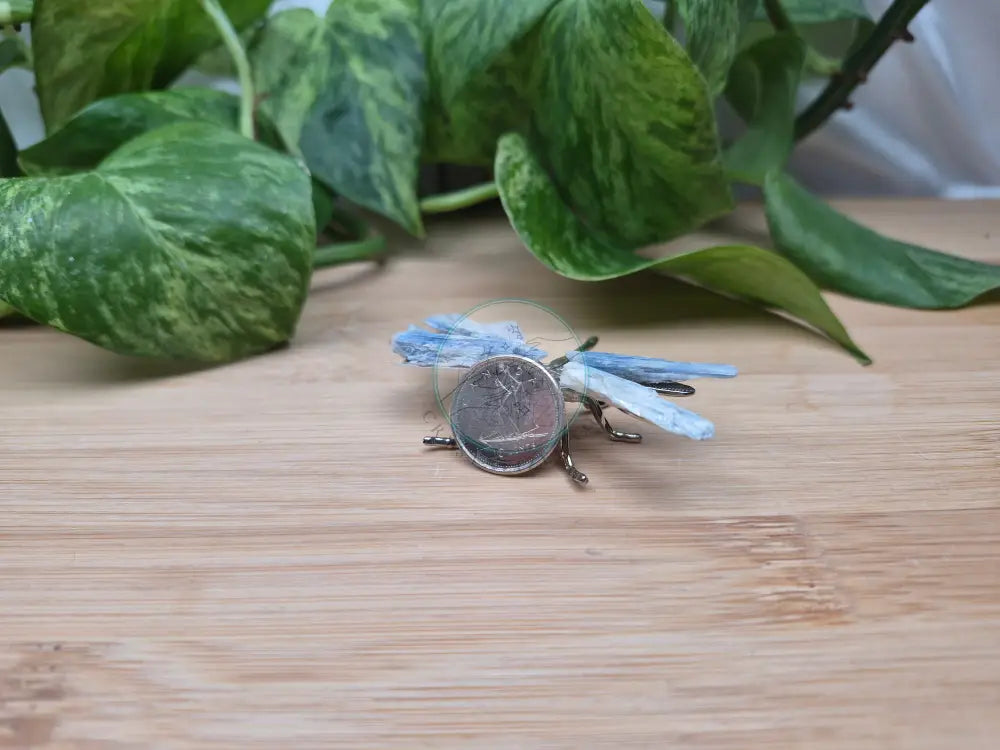 BLUE KYANITE DRAGONFLY