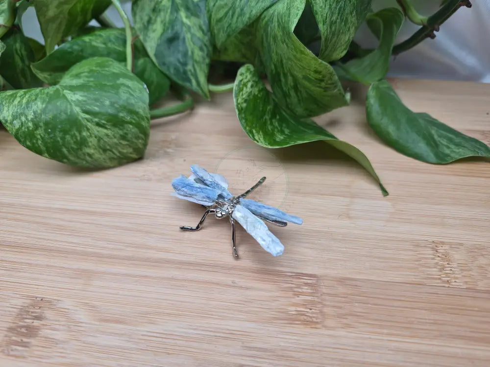 BLUE KYANITE DRAGONFLY