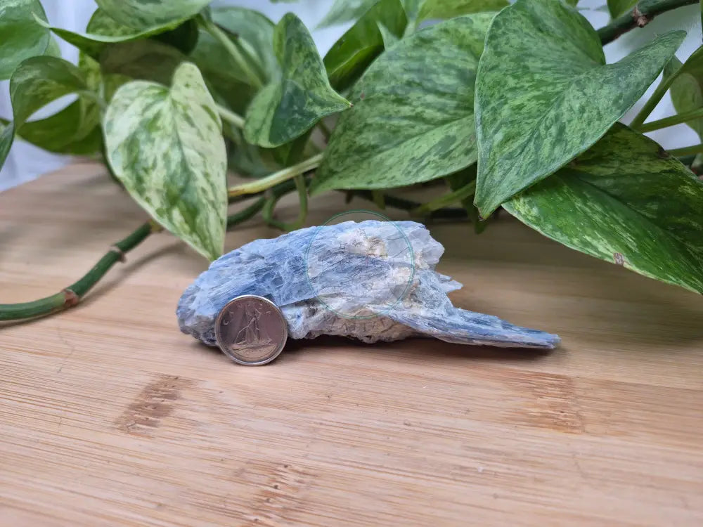BLUE KYANITE ROUGH CHUNK