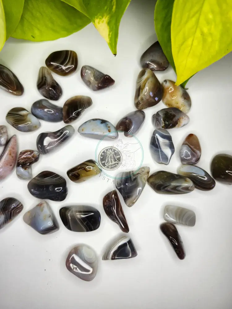 BOTSWANA AGATE TUMBLED STONE - TUMBLED STONES