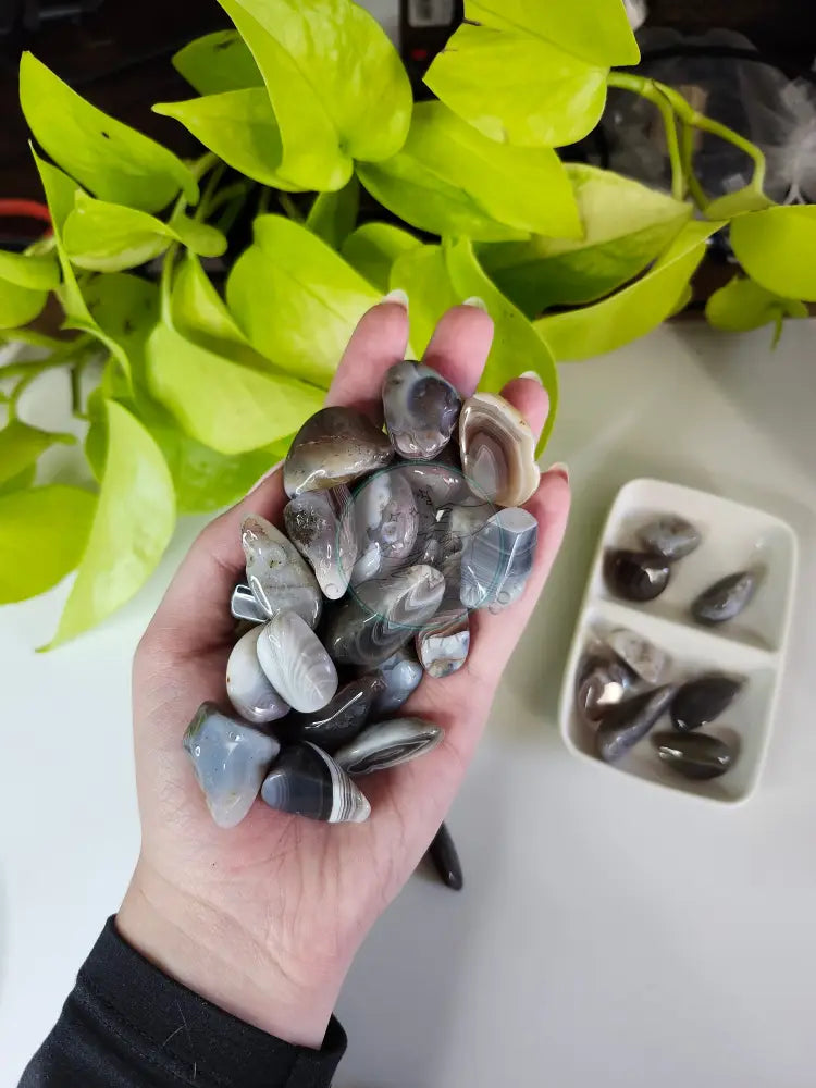 BOTSWANA AGATE TUMBLED STONE - TUMBLED STONES
