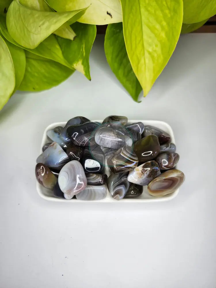BOTSWANA AGATE TUMBLED STONE - TUMBLED STONES